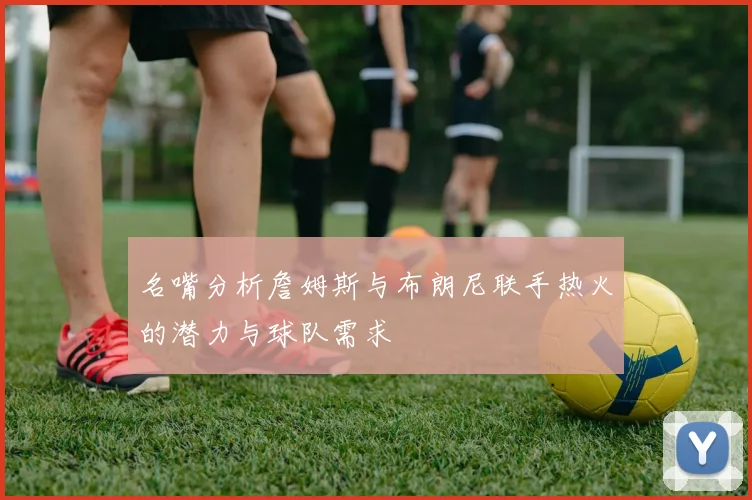 名嘴分析詹姆斯与布朗尼联手热火的潜力与球队需求