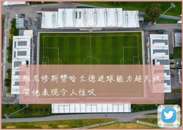 维尼修斯赞哈兰德进球能力超凡祝贺他表现令人惊叹